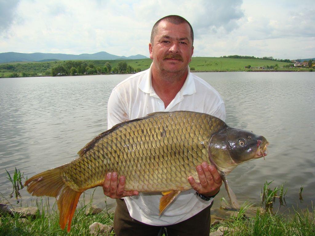 Cipibaits - 00106938.jpg